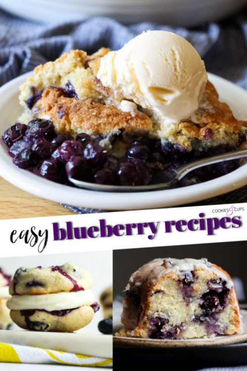 The Best Blueberry Recipes